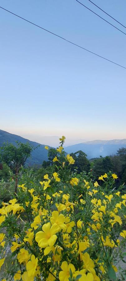Kurseong New Bloom Homestay المظهر الخارجي الصورة